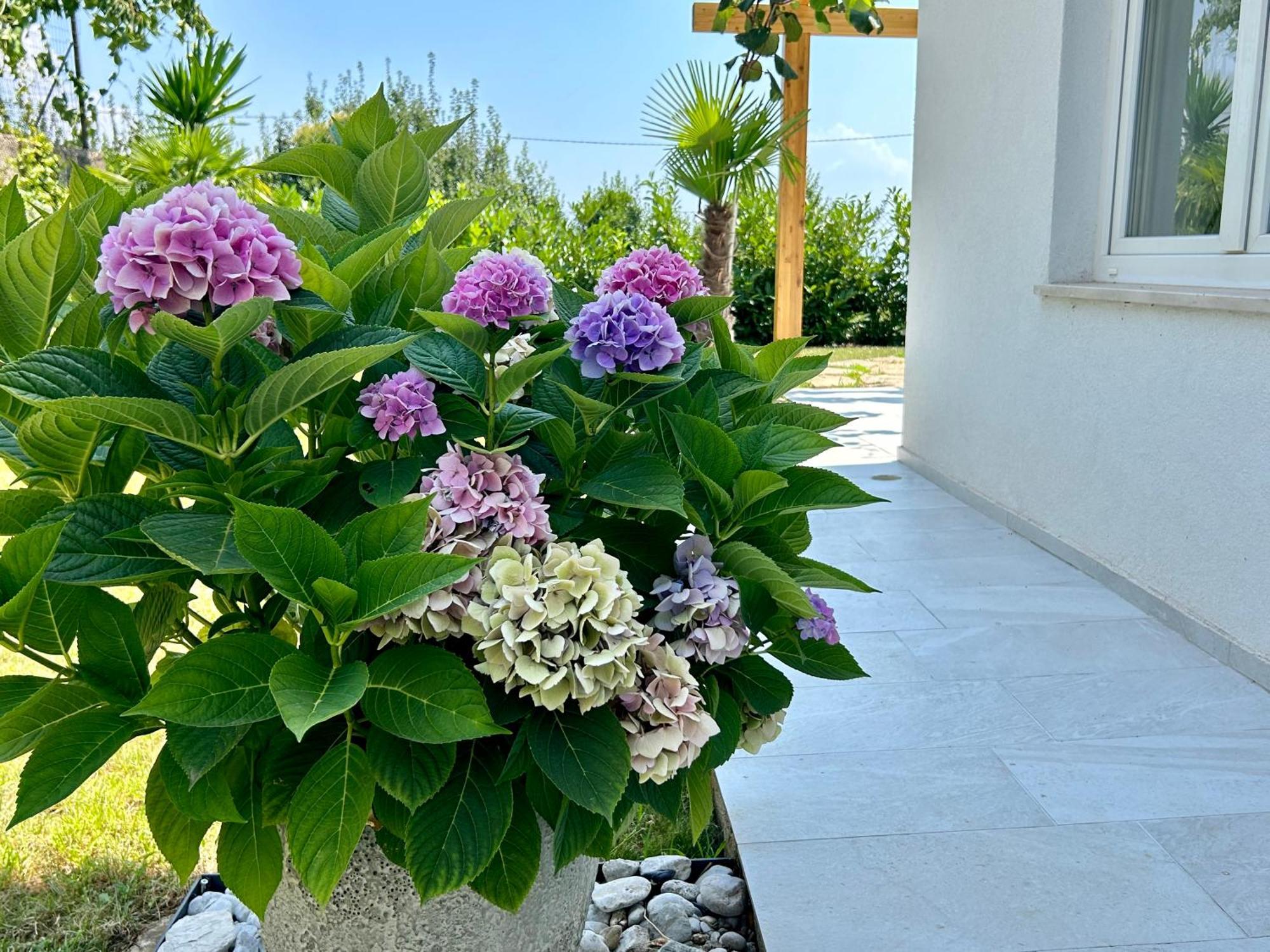 Villa Palma Lovran Exterior foto